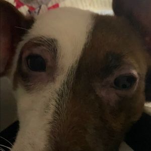 Meet your Posher, Douglas